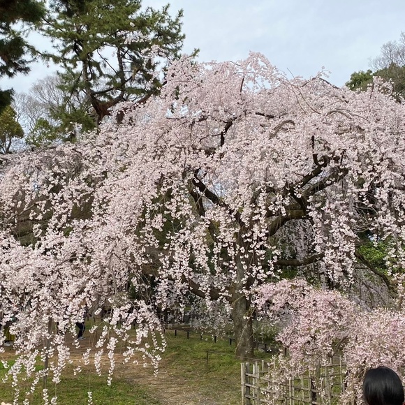 Meet your Posher, m - Picture 1 of 1